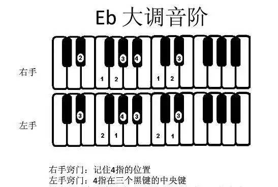 e调在钢琴的哪个位置呀，分享常用调式音阶与音位图解