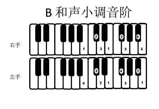 e调在钢琴的哪个位置呀，分享常用调式音阶与音位图解