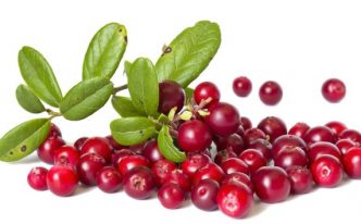 蔓越莓的功效与作用是什么 详细介绍：蔓越莓的营养成分及注意事项