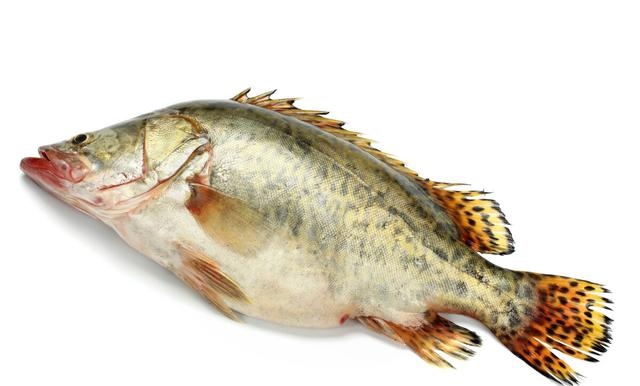 蒸鱼豉油怎么用比较好吃，如何正确使用蒸鱼豉油
