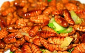 蚕蛹的正确吃法怎么吃「必看：蚕蛹的食用方法及做法教程」