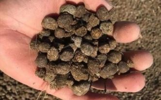 羊粪属于什么肥料 秒懂：对庄稼和土壤的作用