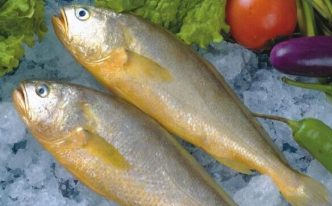 黄鱼和黄花鱼的区别 新手必看：黄鱼和黄花鱼的2点不同