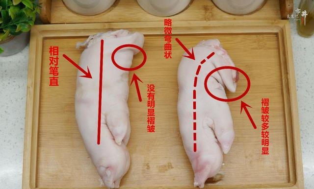 猪蹄怎么选前蹄和后蹄哪个好，区分猪前蹄和猪后蹄的4个方法