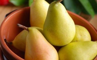 晚上吃梨有什么好处和坏处呢 详细讲解：梨子的功效与作用介绍