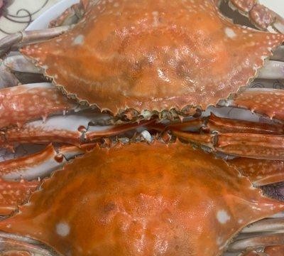 梭子蟹蒸多久最佳时间最好吃，清蒸梭子蟹的做法教程