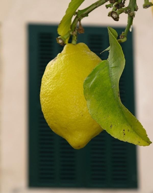 柠檬皮的作用与功效分享，柠檬皮的6个作用