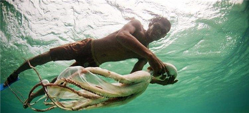 印尼章鱼人是好还是坏,世界上有章鱼人吗