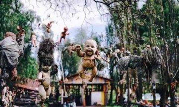 比较恐怖的地方,墨西哥玩偶岛岛上聚集了数千个各式各样的娃娃人偶