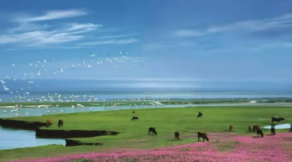 中国最美湿地有哪些,十大中国最美湿地盘点
