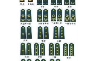 军衔肩章识别图解 最新军衔等级肩章排列图片对应的职位
